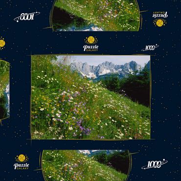Blumenwiese mit Blick zum Wilden Kaiser, Tirol, Österreich 1000 Puzzle Schachtel 3D Modell
