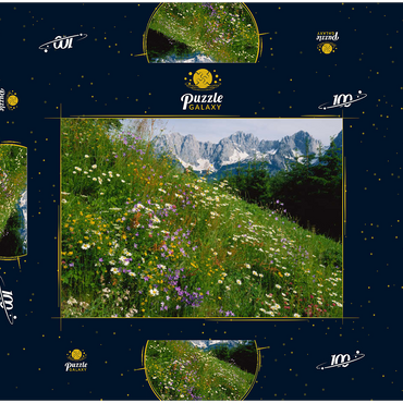 Blumenwiese mit Blick zum Wilden Kaiser, Tirol, Österreich 100 Puzzle Schachtel 3D Modell