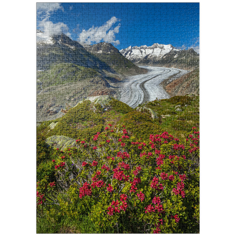 puzzleplate Alpenrosenblüte, Großer Aletschgletscher gegen Wannenhorn (3906m) 1000 Puzzle
