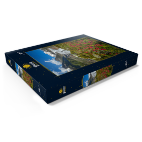 Darstellung des Puzzle Motivs Alpenrosenblüte, Großer Aletschgletscher gegen Wannenhorn (3906m) - Puzzleteile: 100