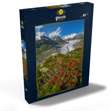 Alpenrosenblüte, Großer Aletschgletscher gegen Wannenhorn (3906m) 100 Puzzle Schachtel Ansicht2