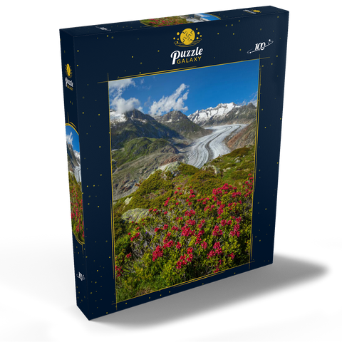Alpenrosenblüte, Großer Aletschgletscher gegen Wannenhorn (3906m) 100 Puzzle Schachtel Ansicht2