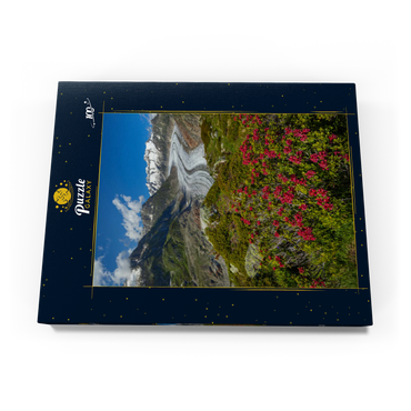 Alpenrosenblüte, Großer Aletschgletscher gegen Wannenhorn (3906m) 100 Puzzle Schachtel Ansicht3