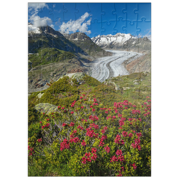 puzzleplate Alpenrosenblüte, Großer Aletschgletscher gegen Wannenhorn (3906m) 100 Puzzle