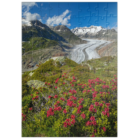Darstellung des Puzzle Motivs Alpenrosenblüte, Großer Aletschgletscher gegen Wannenhorn (3906m) - Puzzleteile: 100