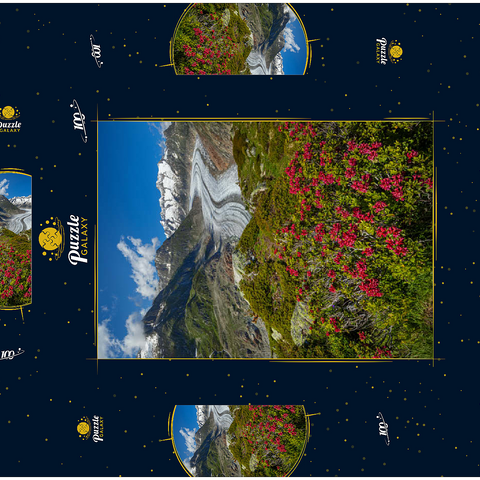 Alpenrosenblüte, Großer Aletschgletscher gegen Wannenhorn (3906m) 100 Puzzle Schachtel 3D Modell