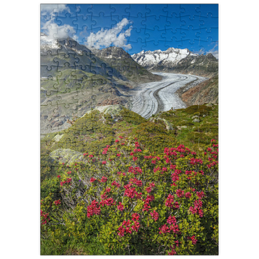 puzzleplate Alpenrosenblüte, Großer Aletschgletscher gegen Wannenhorn (3906m) 200 Puzzle