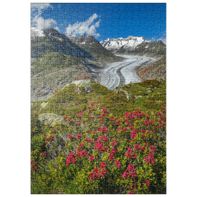 Darstellung des Puzzle-Motivs Alpenrosenblüte, Großer Aletschgletscher gegen Wannenhorn (3906m) – Puzzleteile: 500
