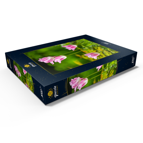 Tulpen in einem Hausgarten 1000 Puzzle Schachtel Ansicht1