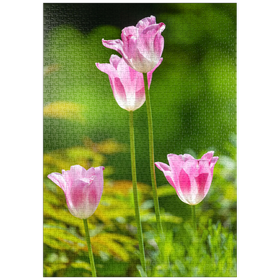 Darstellung des Puzzle-Motivs Tulpen in einem Hausgarten – Puzzleteile: 1000