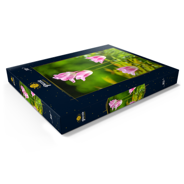 Tulpen in einem Hausgarten 100 Puzzle Schachtel Ansicht1