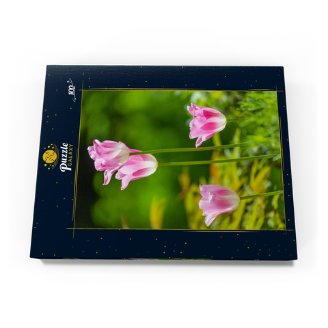 Tulpen in einem Hausgarten 100 Puzzle Schachtel Ansicht3