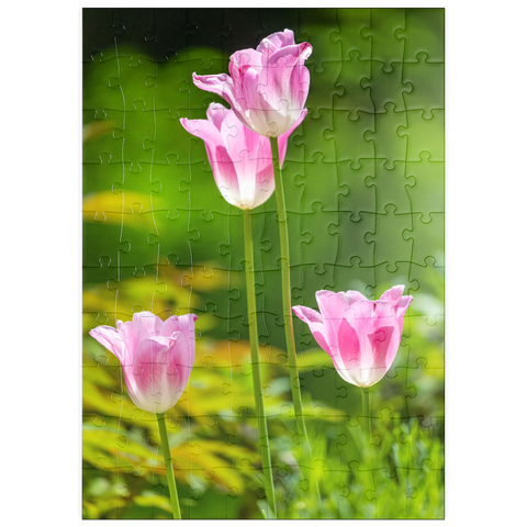 puzzleplate Tulpen in einem Hausgarten 100 Puzzle