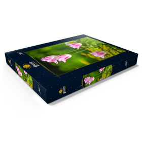 Darstellung des Puzzle Motivs Tulpen in einem Hausgarten - Puzzleteile: 200