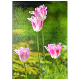 Darstellung des Puzzle-Motivs Tulpen in einem Hausgarten – Puzzleteile: 200
