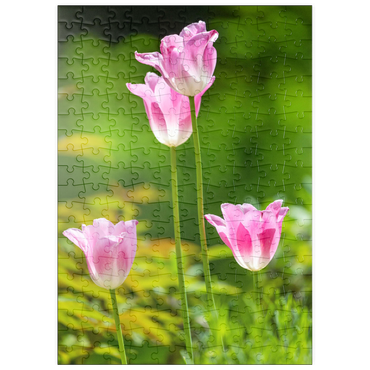 puzzleplate Tulpen in einem Hausgarten 200 Puzzle