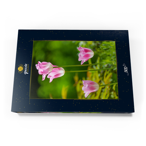 Tulpen in einem Hausgarten 500 Puzzle Schachtel Ansicht3