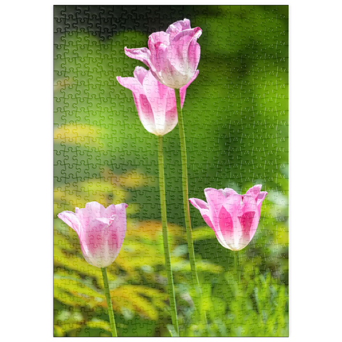 puzzleplate Tulpen in einem Hausgarten 500 Puzzle