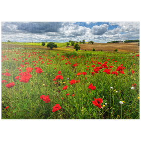 Darstellung des Puzzle-Motivs Mohnwiese bei La Romieu – Puzzleteile: 1000