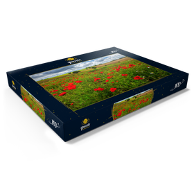 Darstellung des Puzzle Motivs Mohnwiese bei La Romieu - Puzzleteile: 100