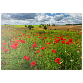 Darstellung des Puzzle Motivs Mohnwiese bei La Romieu - Puzzleteile: 100