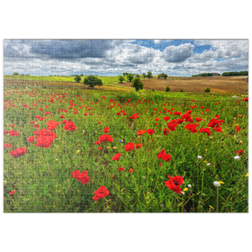 Darstellung des Puzzle Motivs Mohnwiese bei La Romieu - Puzzleteile: 500