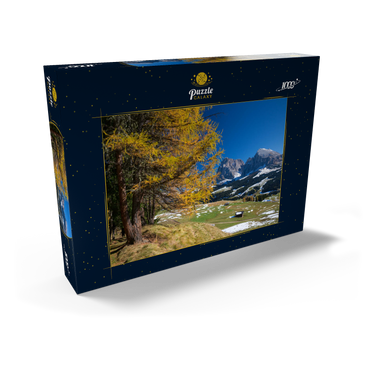 Herbst auf der Seiser Alm (1700 - 2300m) gegen Langkofelgruppe (3181m), Trentino-Südtirol 1000 Puzzle Schachtel Ansicht2