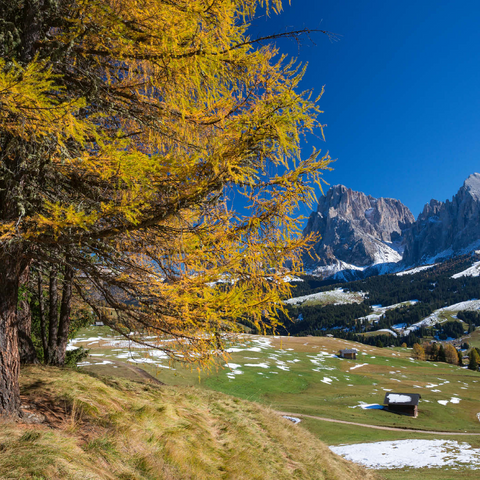 Herbst auf der Seiser Alm (1700 - 2300m) gegen Langkofelgruppe (3181m), Trentino-Südtirol 1000 Puzzle 3D Modell