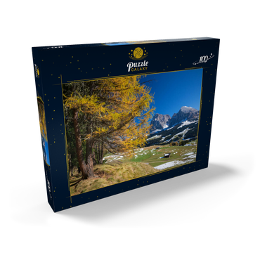 Herbst auf der Seiser Alm (1700 - 2300m) gegen Langkofelgruppe (3181m), Trentino-Südtirol 100 Puzzle Schachtel Ansicht2