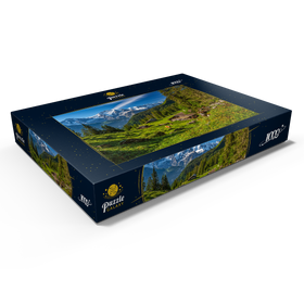 Alternative Darstellung des Puzzle-Motivs Isenfluh, Almhütten am Chüebodmi (1692m) – Puzzleteile: 1000