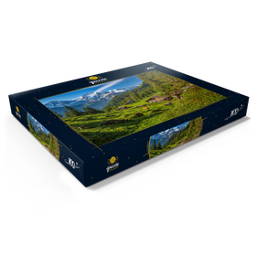 Darstellung des Puzzle Motivs Isenfluh, Almhütten am Chüebodmi (1692m) - Puzzleteile: 100