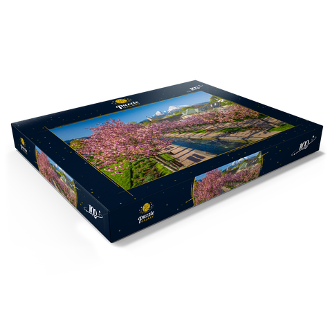 Blühende Kirschbäume, Kirschblüte im Kurgarten von Berchtesgaden mit dem Watzmann 100 Puzzle Schachtel Ansicht1