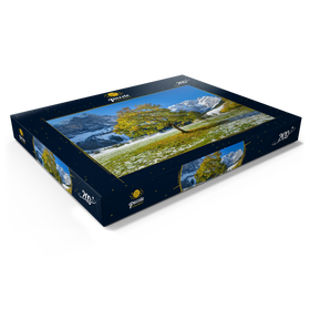 Alternative Darstellung des Puzzle-Motivs Berghorn in der Eng – Puzzleteile: 200