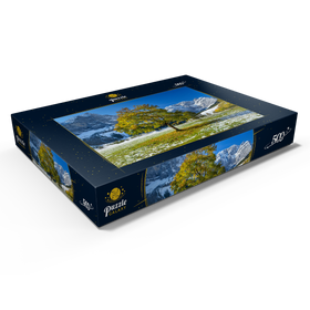 Alternative Darstellung des Puzzle-Motivs Berghorn in der Eng – Puzzleteile: 500