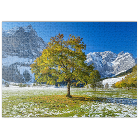 Darstellung des Puzzle Motivs Berghorn in der Eng - Puzzleteile: 500