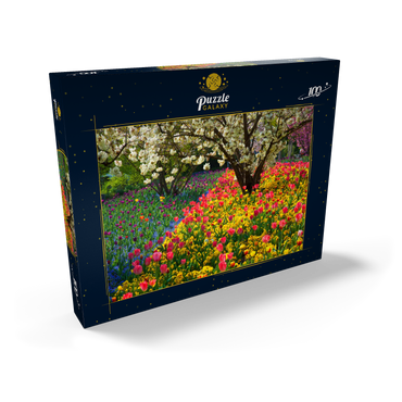 Blumenanlage im Luisenpark in Mannheim 100 Puzzle Schachtel Ansicht2