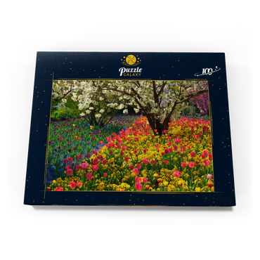 Blumenanlage im Luisenpark in Mannheim 100 Puzzle Schachtel Ansicht3