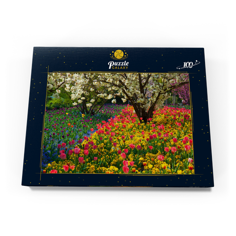 Blumenanlage im Luisenpark in Mannheim 100 Puzzle Schachtel Ansicht3