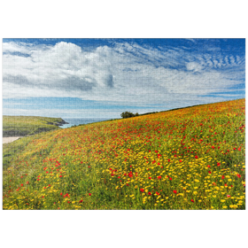 Darstellung des Puzzle-Motivs Wildblumenwiese bei West Pentire, Nordküste, Cornwall – Puzzleteile: 1000