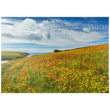 puzzleplate Wildblumenwiese bei West Pentire, Nordküste, Cornwall 1000 Puzzle
