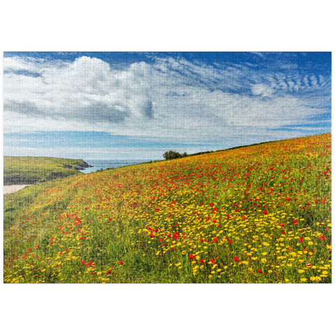 puzzleplate Wildblumenwiese bei West Pentire, Nordküste, Cornwall 1000 Puzzle