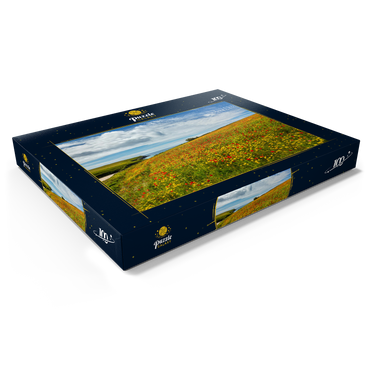 Wildblumenwiese bei West Pentire, Nordküste, Cornwall 100 Puzzle Schachtel Ansicht1
