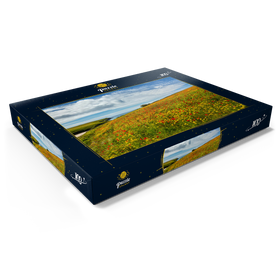 Darstellung des Puzzle Motivs Wildblumenwiese bei West Pentire, Nordküste, Cornwall - Puzzleteile: 100