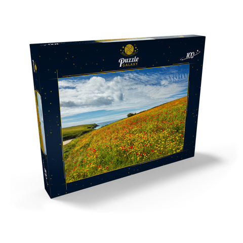 Wildblumenwiese bei West Pentire, Nordküste, Cornwall 100 Puzzle Schachtel Ansicht2
