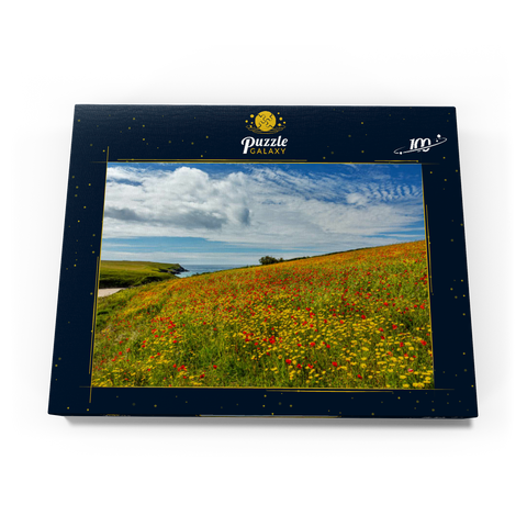 Wildblumenwiese bei West Pentire, Nordküste, Cornwall 100 Puzzle Schachtel Ansicht3