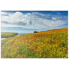 Darstellung des Puzzle Motivs Wildblumenwiese bei West Pentire, Nordküste, Cornwall - Puzzleteile: 100