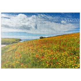 Darstellung des Puzzle-Motivs Wildblumenwiese bei West Pentire, Nordküste, Cornwall – Puzzleteile: 200