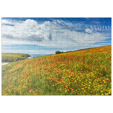 puzzleplate Wildblumenwiese bei West Pentire, Nordküste, Cornwall 200 Puzzle