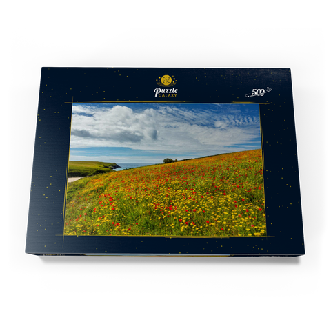 Wildblumenwiese bei West Pentire, Nordküste, Cornwall 500 Puzzle Schachtel Ansicht3