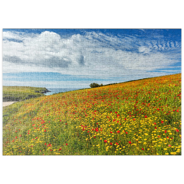 puzzleplate Wildblumenwiese bei West Pentire, Nordküste, Cornwall 500 Puzzle